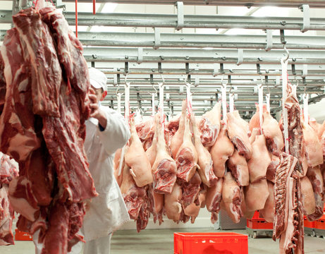Modernes Frischfleisch-K&uuml;hlhaus