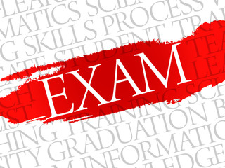 EXAM. Word education collage on gray vector background