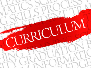 CURRICULUM. Word education collage on gray vector background