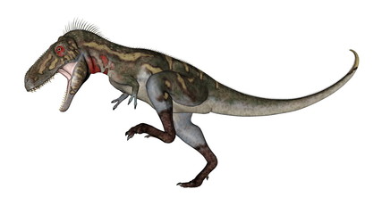 Obraz na płótnie Canvas Nanotyrannus dinosaur roaring - 3D render