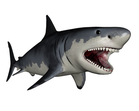 Megalodon dinosaur - 3D render