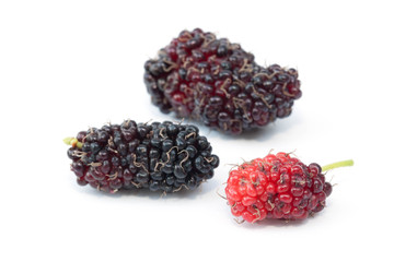 Mulberry fruit on the white background