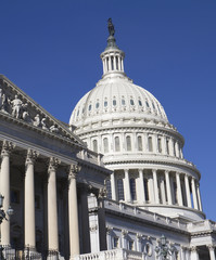 Fototapeta premium Capitol, US, Washington DC