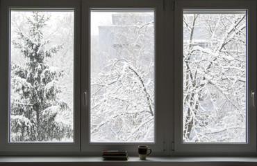 Books on the window in winter