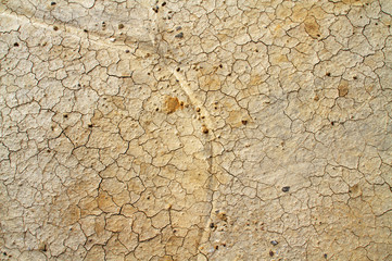 deserto tabernas