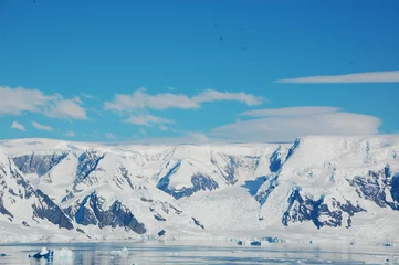 Foto auf Alu-Dibond 南極 © nyankotoasobu