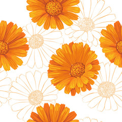 Calendula flowers pattern - obrazy, fototapety, plakaty