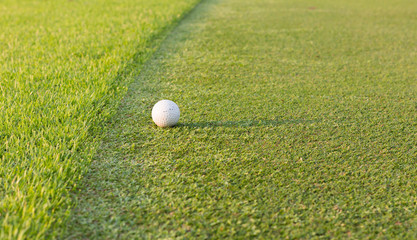 golf ball on lip of cup