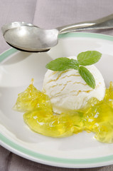 vanilla yogurt ice cream on a plate