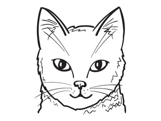 Portrait of cat in sketch style