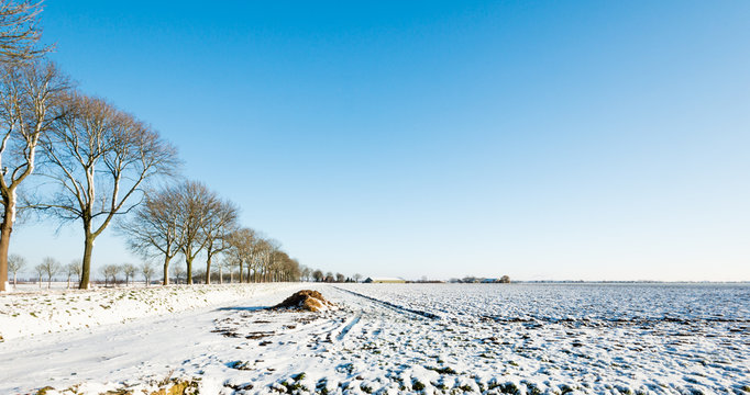 Farmland covered with a layer of snow