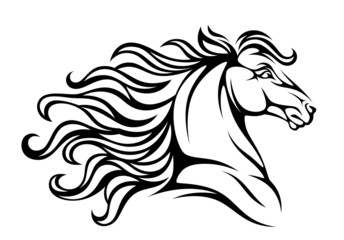Obraz na płótnie Canvas Horse head