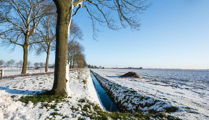 Agricultural landscape  covered with a layer of snow