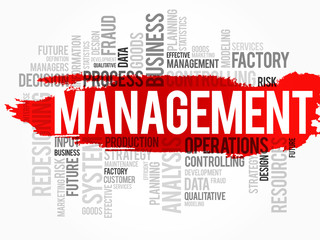 Word cloud of MANAGEMENT related items, vector background