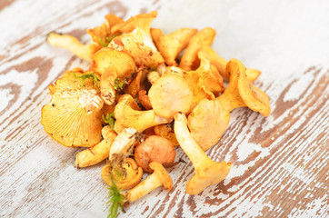 Chanterelle mushroom on textured vintage wooden background