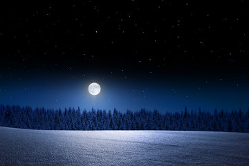 Vollmondnacht im Winter