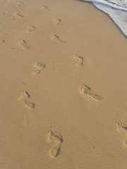 Footprints in the sand