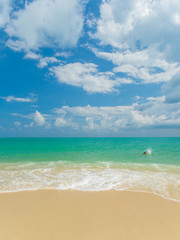 Tropical beach in Koh Samui