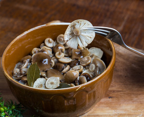 marinated honey fungus in brown bowl on wooden table.