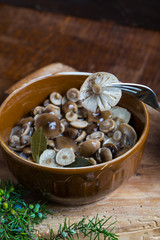 Fototapeta na wymiar marinated honey fungus in brown bowl on wooden table.