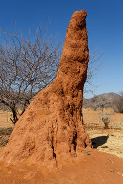 Huge red termite mound in Africa