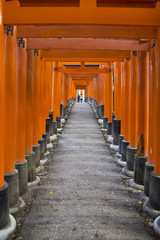 Red tories perspective © jordieasy