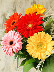 Colorful gerbera flowers bouquet