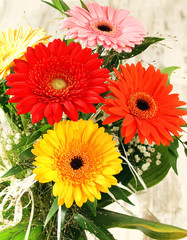 Colorful gerbera flowers bouquet