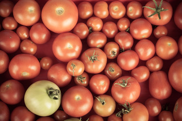 background of red tomatoes and green one.