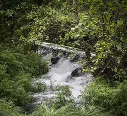 waterfall in the woods