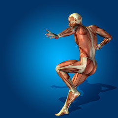 Conceptual 3D human man health anatomy