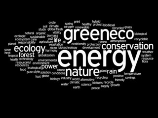 Conceptual ecology word cloud