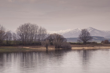 Trees and shrubs reflected in a lake water. Winter scene