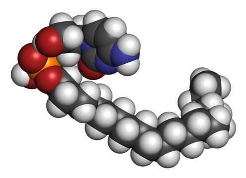 Brincidofovir Antiviral Drug Molecule. Prodrug Of Cidofovir. 