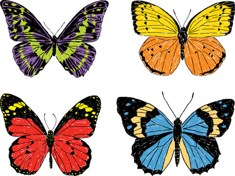 decorative butterflies