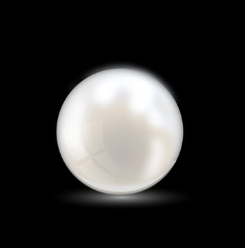 Beautiful realistic pearl illustration vector