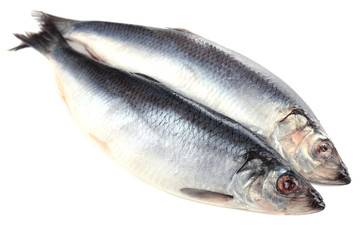 Fresh fish isolated on white