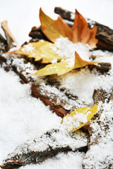 Obraz na płótnie Canvas Pile of tree barks with autumn leaves in snow