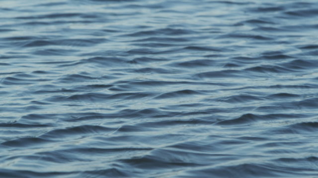 Gentle ripples on a lake water surface during a light breeze