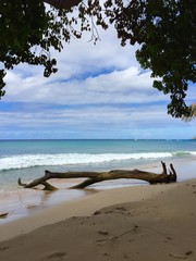 st Lucy beach barbados