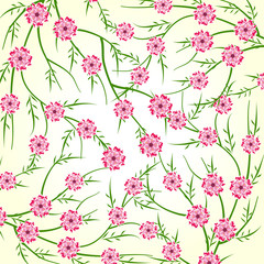 Obraz na płótnie Canvas Spring flower 