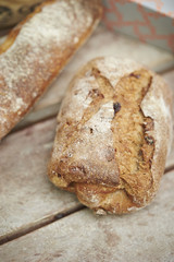Bread
