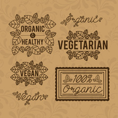 Food design, vector illustration.