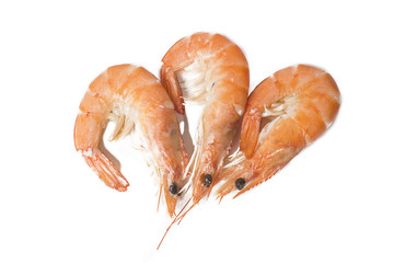 Cooked prawns on white background