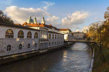 Fototapeta na wymiar Ljubljanica River