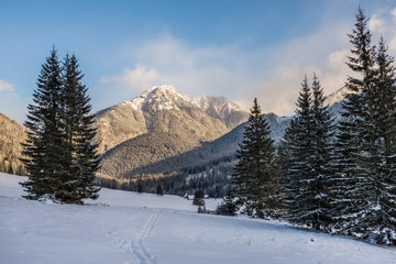 Dolina Chochołowska - Tatry