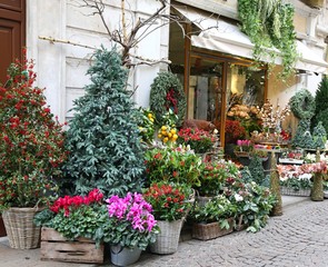 Fototapeta na wymiar florist's shop along the main street of ancient European city