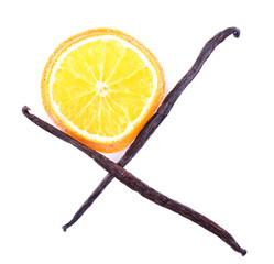 Dried orange with vanilla beans isolated on white