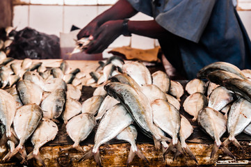 Stone Town Fish Market