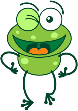 Green frog winking and making thumbs up